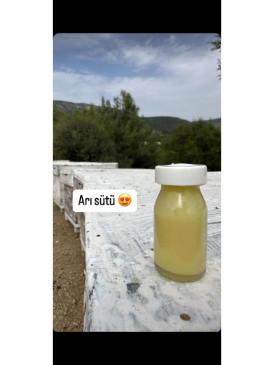 Arı sütü 10 ml