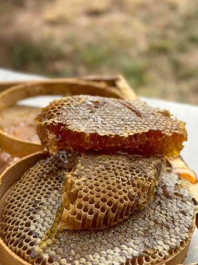 Karakovan Petek Balı 1 kg